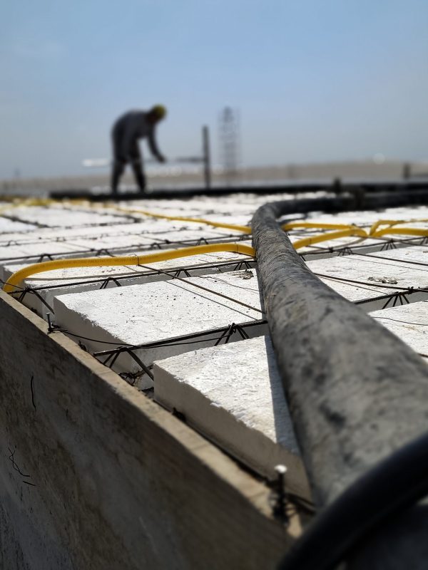 IMG_20241017_090707059_MF_PORTRAIT